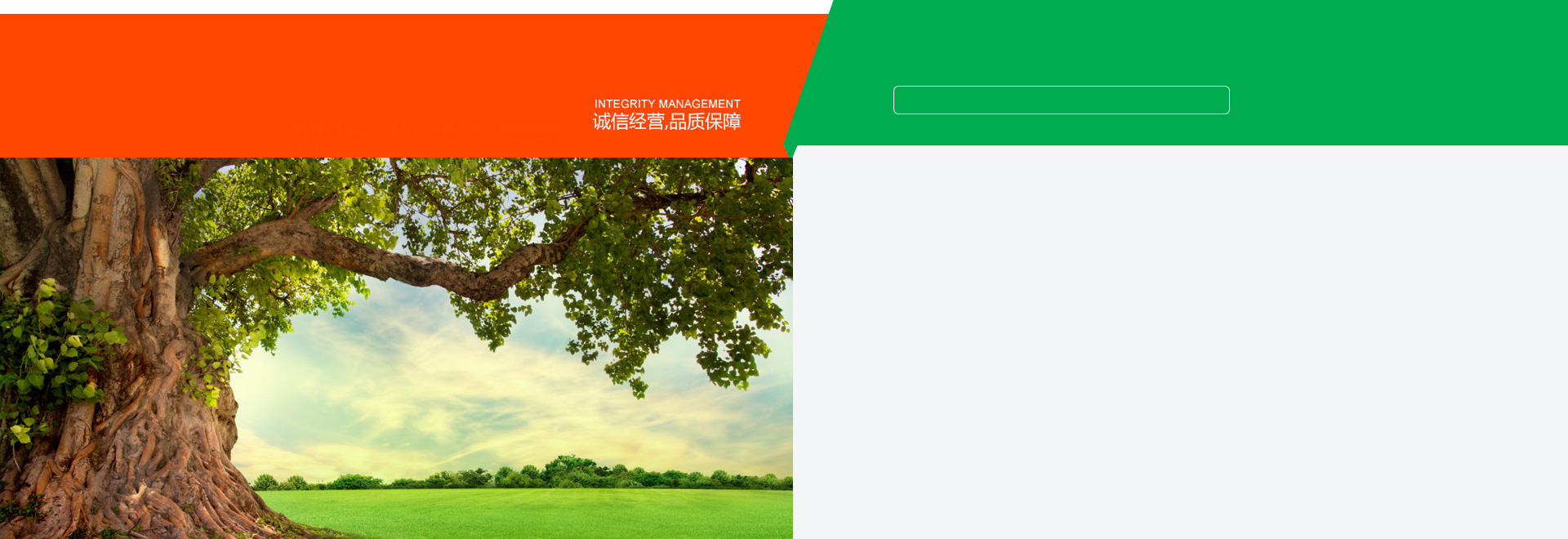 大型網(wǎng)架煤棚